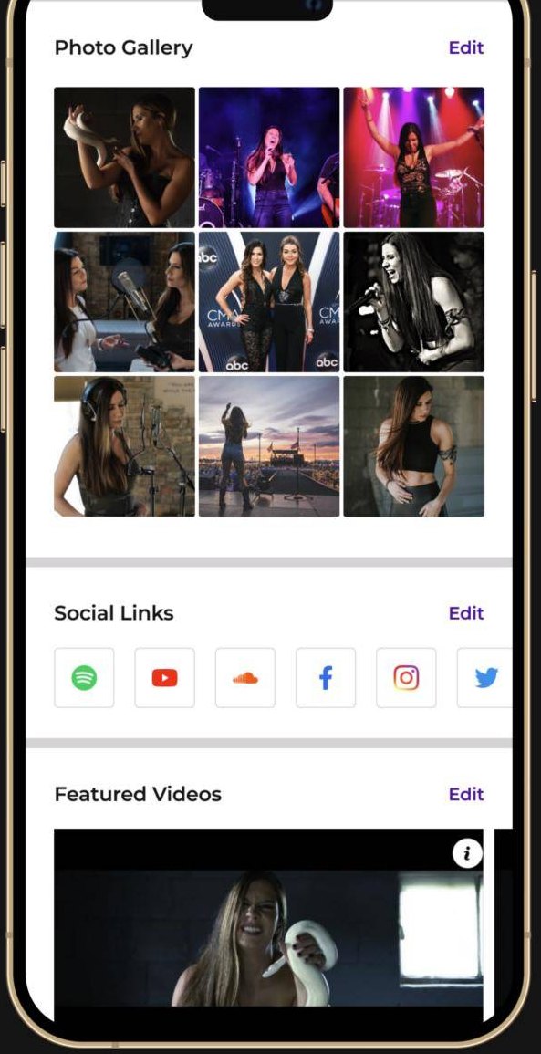 Artist page editor with photo gallery, social links and featured videos